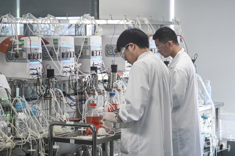 國產(chǎn)抗癌藥登頂全球之巔 中山藥企迎來生物技術(shù)行業(yè)的“DeepSeek時(shí)刻”