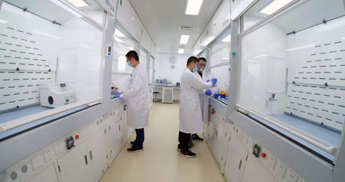 煙臺(tái)業(yè)達(dá)孵化中心入孵企業(yè)ADC新藥申報(bào)臨床，區(qū)域生物技術(shù)研發(fā)迎來(lái)新突破